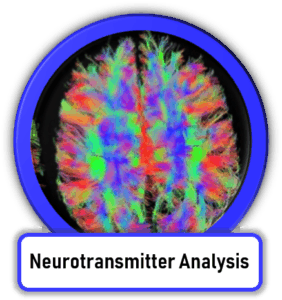 Neurotransmitter Testing and Treatment