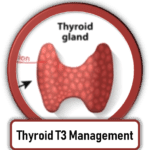 thyroid treatment scottsdale arizona T3 T4 naturethroid armour thyroid