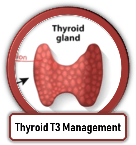 Thyroid T3 Armour Treatment scottsdale