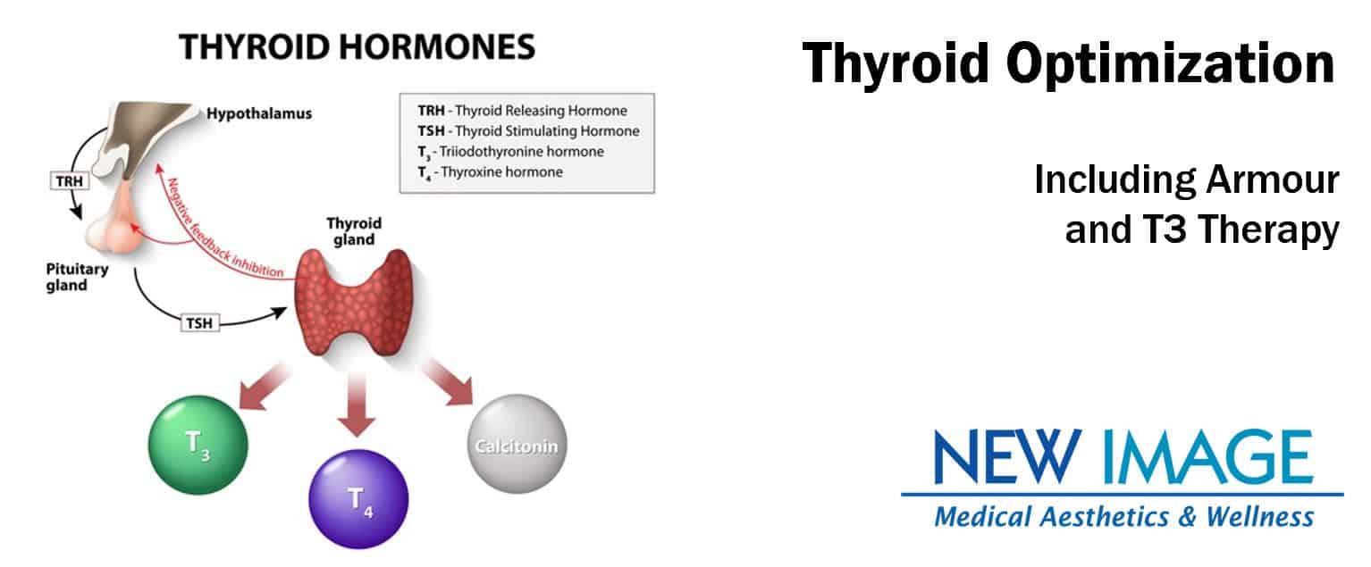Thyroid banner NI Armour Naturethroid Thyroid Treatment