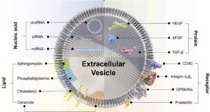 Exosome 